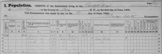 1865 New York State Census